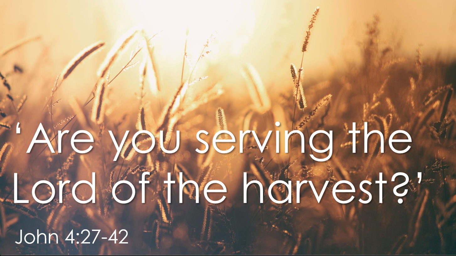 Are you serving the Lord of the harvest?